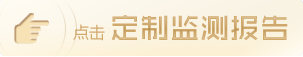 定制監(jiān)測(cè)報(bào)告