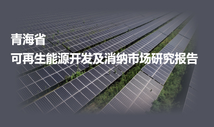 青海省可再生能源開發及消納市場研究報告